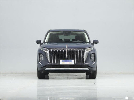 ガソリンホンキHS7 車両 自動車 4×4 4×2 6座 / 7座 1